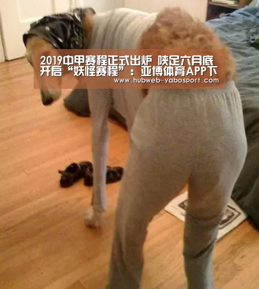亚博官方