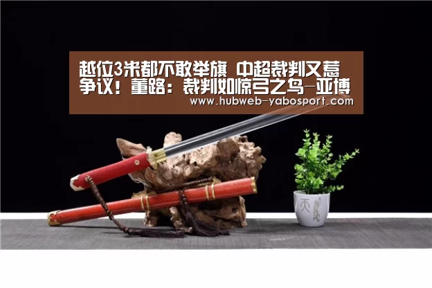 越位3米都不敢举旗 中超裁判又惹争议!董路:裁判如惊弓之鸟-亚博体育APP下载(图3) 亚博官方