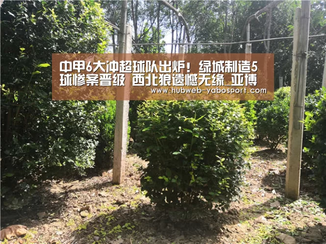 中甲6大冲超球队出炉!绿城制造5球惨案晋级 西北狼遗憾无缘_亚博体育在线(图1) 亚博体育官网
